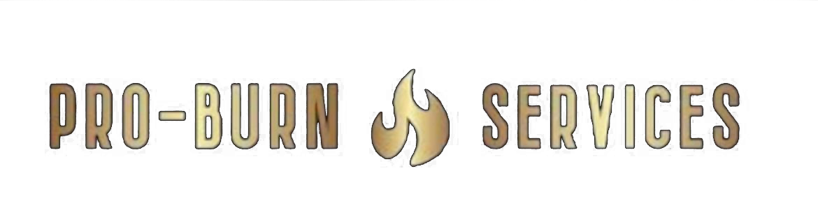 Pro Burn Services Logo